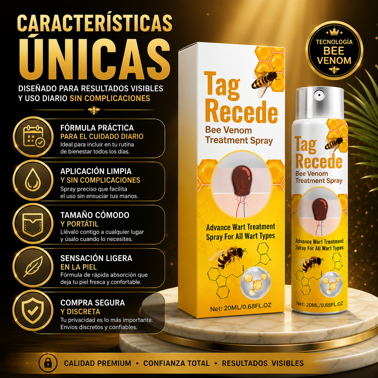 Encabezado