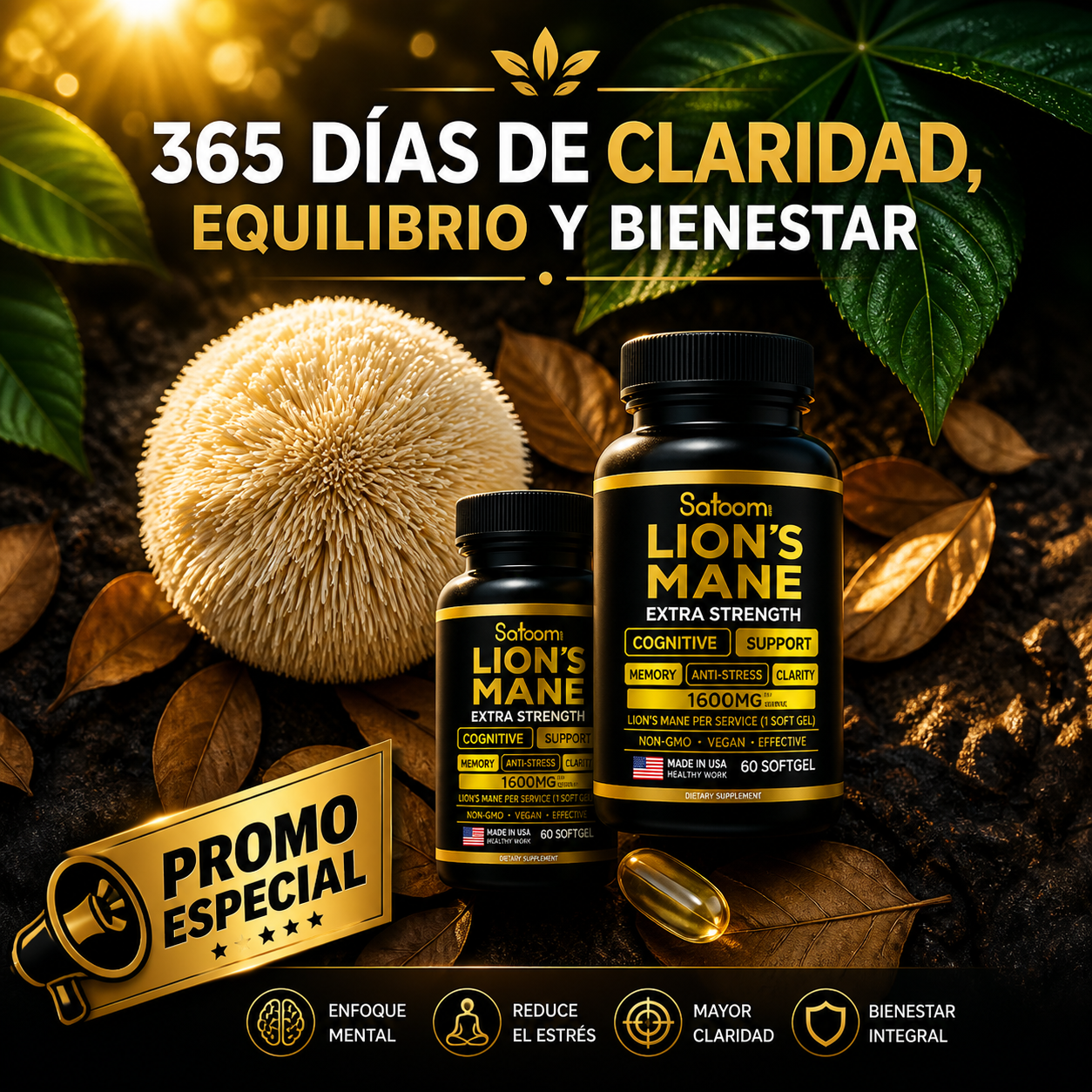 Encabezado